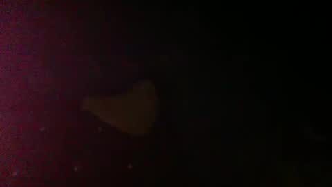 Snapshot of sunnyjohn447 chatting on March 9, 2026, 7:07 pm Sunnyblack2 online show from March 9, 2026, 7:07 pm