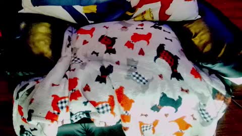 Sunny Marcie online show from February 3, 2025, 5:03 pm