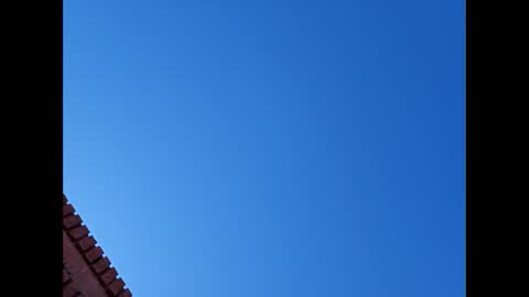 Snapshot of suntroll chatting on January 6, 2025, 7:13 pm Suntroll online show from January 6, 2025, 7:13 pm