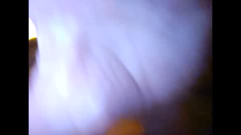 Snapshot of suntroll chatting on February 7, 2025, 11:01 am Suntroll online show from February 7, 2025, 11:01 am