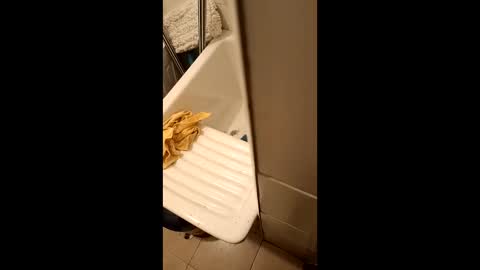 Snapshot of suso9092 chatting on March 23, 2026, 11:42 pm suso9092 online show from March 23, 2026, 11:42 pm