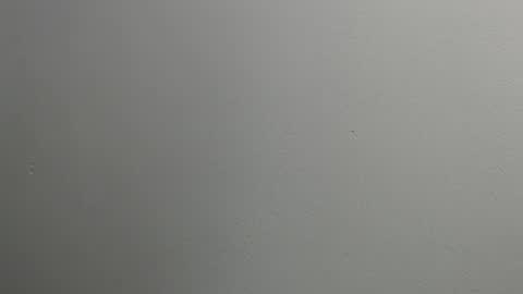 Snapshot of sussy_leon chatting on January 28, 2025, 12:11 pm sussy leon online show from January 28, 2025, 12:11 pm