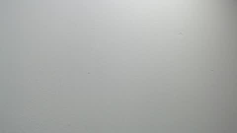 Snapshot of sussy_leon chatting on February 11, 2025, 12:05 pm sussy leon online show from February 11, 2025, 12:05 pm