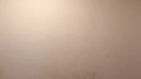 sweaterboy666 online show from March 10, 2026, 11:37 am