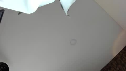 Vanessa online show from April 5, 2026, 9:01 pm