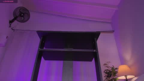 Diana online show from January 19, 2025, 2:15 am