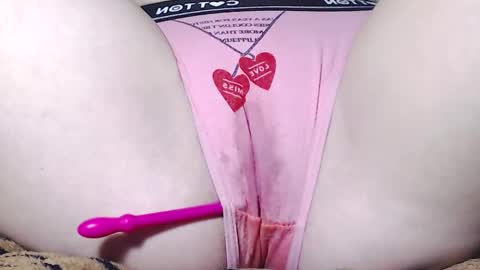 Kitten online show from February 6, 2025, 10:26 am