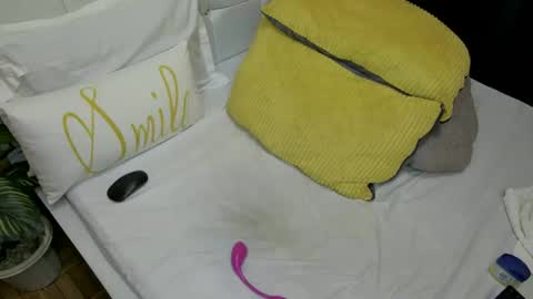 Snapshot of sweet_spoon chatting on December 30, 2024, 10:55 pm Nina online show from December 30, 2024, 10:55 pm