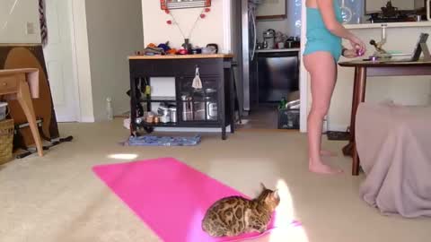 Heidi Brenner - Please check bio for schedule  FAQ online show from October 7, 2025, 1:19 pm