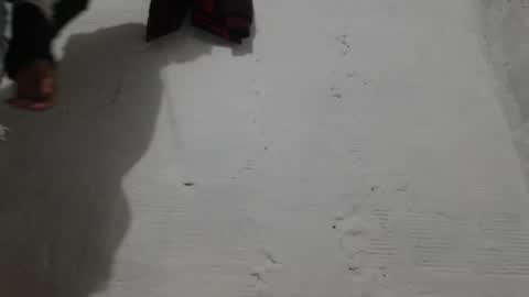 Camilo online show from February 1, 2026, 11:09 am