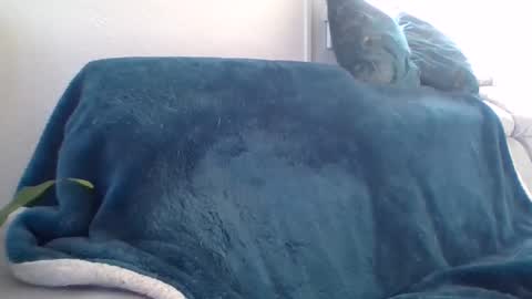 Snapshot of swissride chatting on February 27, 2025, 1:38 pm swissride online show from February 27, 2025, 1:38 pm