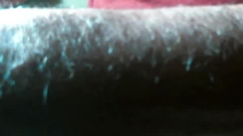Snapshot of swizzle__stick chatting on April 29, 2026, 9:57 am will jeffers online show from April 29, 2026, 9:57 am