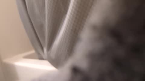 Snapshot of swollpole2112 chatting on September 14, 2025, 6:12 am swollpole2112 online show from September 14, 2025, 6:12 am