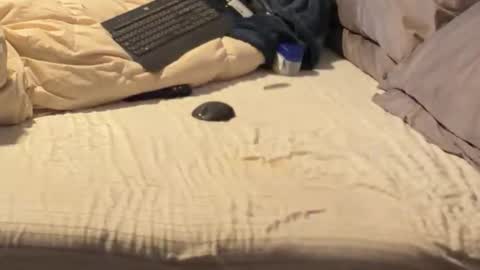 SissyDenver online show from December 18, 2025, 11:05 am