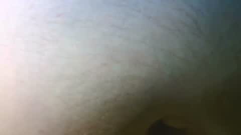 Snapshot of syrius57920 chatting on November 7, 2025, 5:13 pm syrius57920 online show from November 7, 2025, 5:13 pm