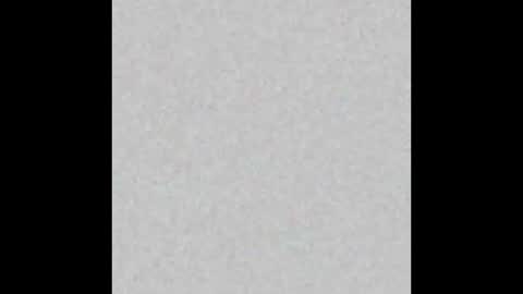 Toneio online show from March 2, 2026, 11:17 am