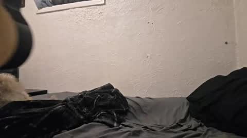 Snapshot of talenjames chatting on April 18, 2026, 9:48 pm Talen James online show from April 18, 2026, 9:48 pm