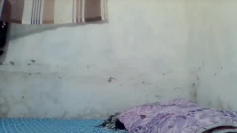 taliah254 online show from December 17, 2025, 12:33 pm