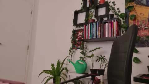 Snapshot of talimajid chatting on January 6, 2026, 5:33 am Tali Majid online show from January 6, 2026, 5:33 am