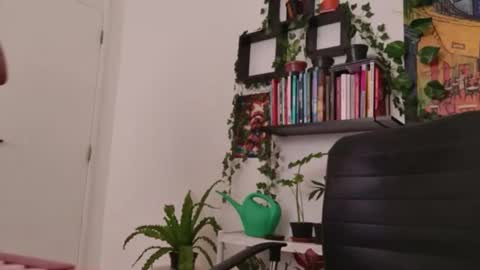 Snapshot of talimajid chatting on January 6, 2026, 5:38 pm Tali Majid online show from January 6, 2026, 5:38 pm