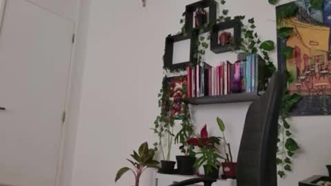 Snapshot of talimajid chatting on February 16, 2026, 8:16 pm Tali Majid online show from February 16, 2026, 8:16 pm