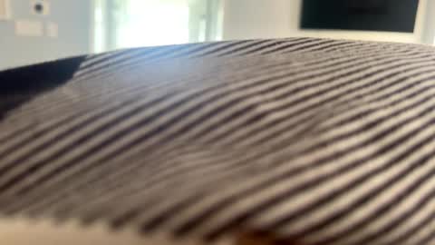 talk2me818 online show from January 2, 2025, 3:08 pm