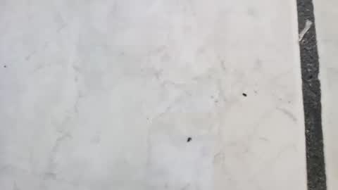 Snapshot of tall6feet7inch chatting on September 14, 2025, 11:42 am tall6feet7inch online show from September 14, 2025, 11:42 am