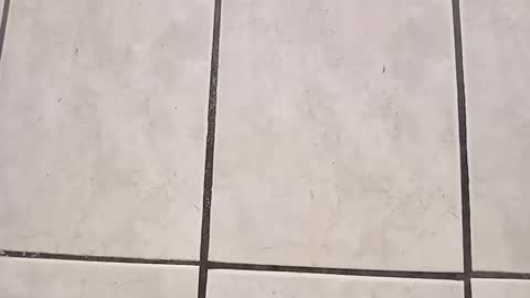 Snapshot of tall6feet7inch chatting on September 28, 2025, 8:03 pm tall6feet7inch online show from September 28, 2025, 8:03 pm