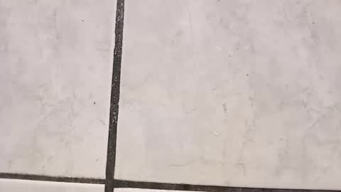 Snapshot of tall6feet7inch chatting on September 29, 2025, 8:41 am tall6feet7inch online show from September 29, 2025, 8:41 am