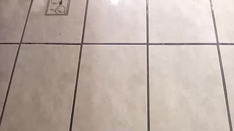 Snapshot of tall6feet7inch chatting on October 1, 2025, 9:04 am tall6feet7inch online show from October 1, 2025, 9:04 am