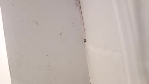 Snapshot of tall6feet7inch chatting on December 18, 2025, 7:36 am tall6feet7inch online show from December 18, 2025, 7:36 am