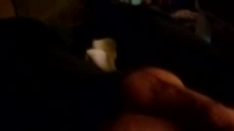 The Man of Steel online show from October 26, 2025, 10:43 am