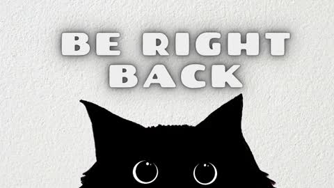 Rousaly online show from February 3, 2026, 11:26 am