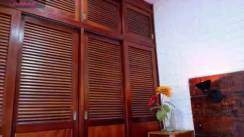    online show from November 24, 2025, 12:43 am