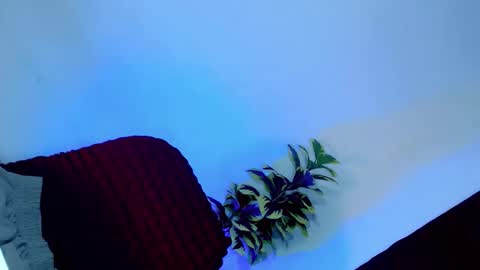 Snapshot of tamera_cummer0969 chatting on November 20, 2025, 7:57 pm tamera_cummer0969 online show from November 20, 2025, 7:57 pm