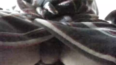 Snapshot of tap_b chatting on February 16, 2025, 7:48 am Patrick online show from February 16, 2025, 7:48 am