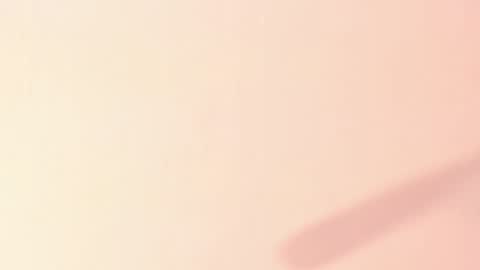 Taylor  online show from January 3, 2025, 3:55 pm