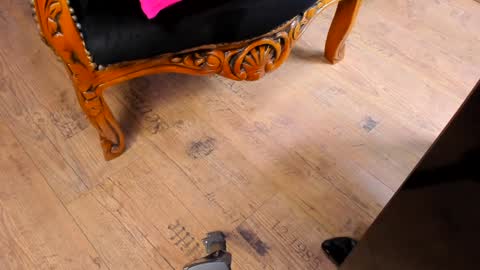 Snapshot of taylorfemdom chatting on December 15, 2024, 10:37 pm Mistress Taylor online show from December 15, 2024, 10:37 pm