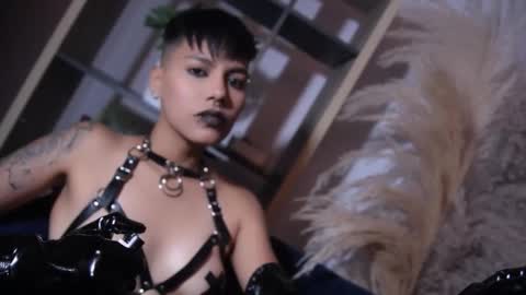 Taylor online show from February 17, 2026, 8:15 pm