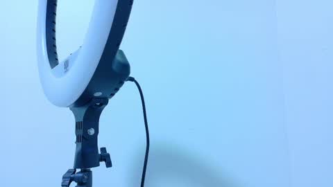 TAYLOR  online show from November 13, 2025, 11:53 am