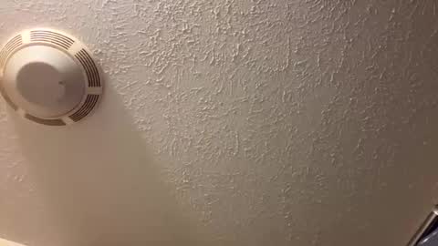 Lilbeebs online show from March 26, 2026, 4:45 pm