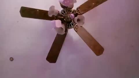 td42020 online show from September 16, 2025, 6:53 pm