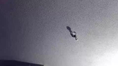 technosex14 online show from November 20, 2025, 3:28 am