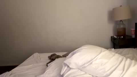 Snapshot of tennman6086 chatting on February 4, 2025, 2:43 pm Tennman online show from February 4, 2025, 2:43 pm