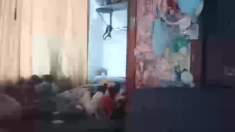 Snapshot of terraelowen chatting on March 20, 2026, 1:27 pm Terra Elowen online show from March 20, 2026, 1:27 pm