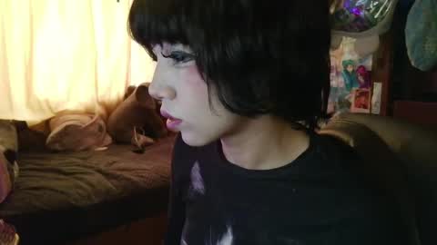 Snapshot of terraelowen chatting on April 9, 2026, 1:38 pm Terra Elowen online show from April 9, 2026, 1:38 pm