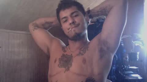 Snapshot of testotease chatting on December 20, 2024, 3:53 pm Milo online show from December 20, 2024, 3:53 pm