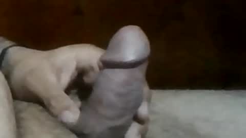 Snapshot of texasbigdaddy63 chatting on September 19, 2025, 10:43 pm texasbigdaddy63 online show from September 19, 2025, 10:43 pm