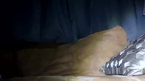 Snapshot of texasfried chatting on January 29, 2025, 7:46 am MauiMinded808 online show from January 29, 2025, 7:46 am