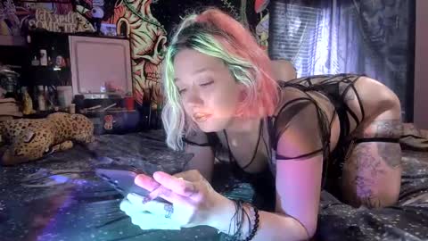 Snapshot of texaspregogrllll chatting on October 8, 2025, 3:31 pm TEXASGIRLLLL online show from October 8, 2025, 3:31 pm